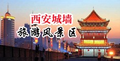 抖阴视频啪啪中国陕西-西安城墙旅游风景区